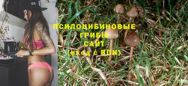 ECSTASY Беломорск